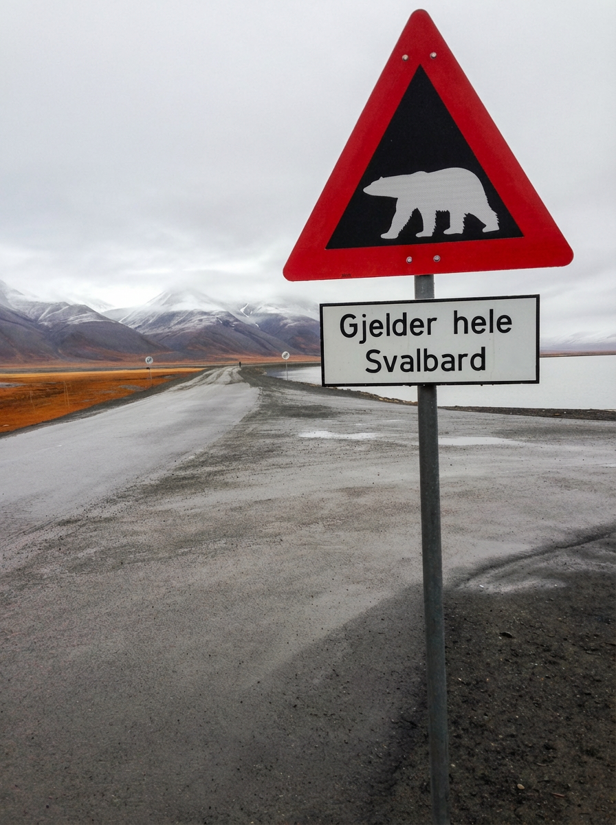 Geocaching in Svalbard – Arctic Adventures & Polar Bear Safety